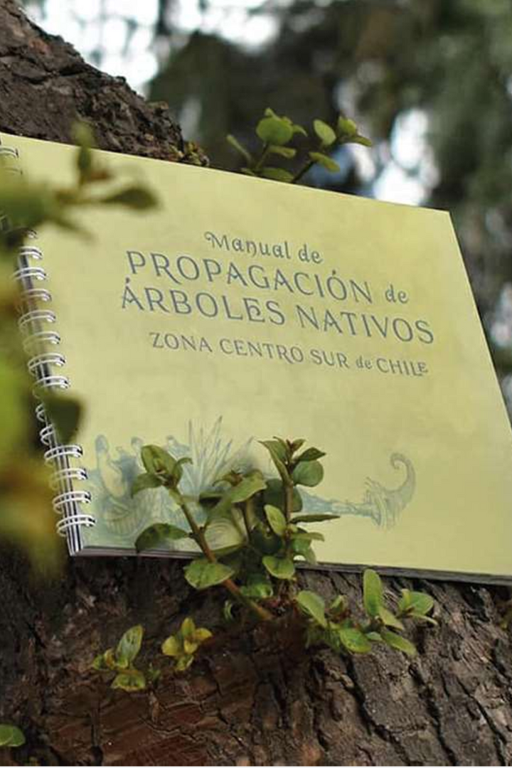 Manual de propagacion de árboles nativos de Chile