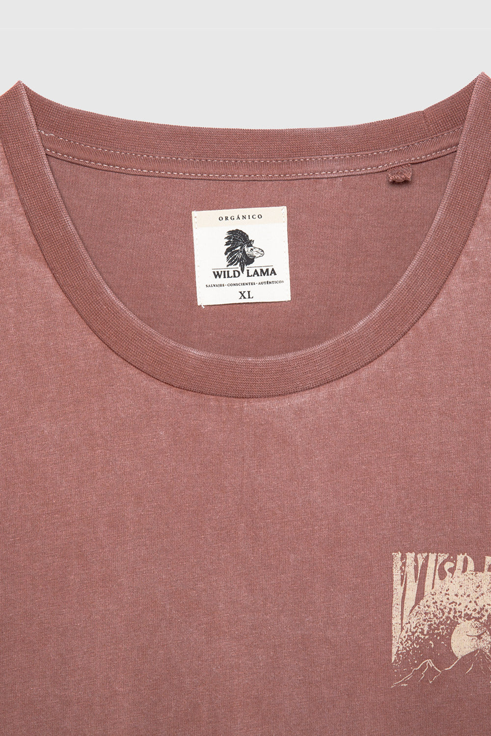 Polera Karu Orgánica Terracota Hombre